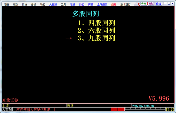 东北证券大智慧软件 V5.996