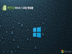 <font color='#006600'>ײwin8.1 64λǿv2025.07</font>