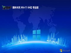 <font color='#CC0000'>ľv2025.07win11 64λ޹רע</font>