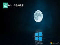 <font color='#006600'>ʿ64λwin11µԹv2025.07</font>