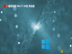 <font color='#000099'>ѻ԰64λwin11ʦɫv2025.07</font>
